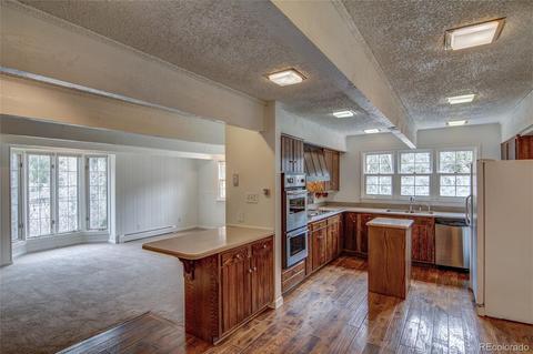 201 Loop Dr, Georgetown, CO 80444 photo 13