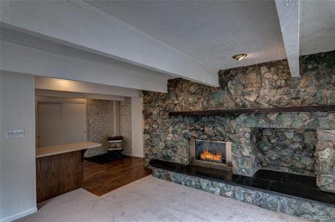 201 Loop Dr, Georgetown, CO 80444 photo 14