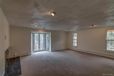 201 Loop Dr, Georgetown, CO 80444 photo 16