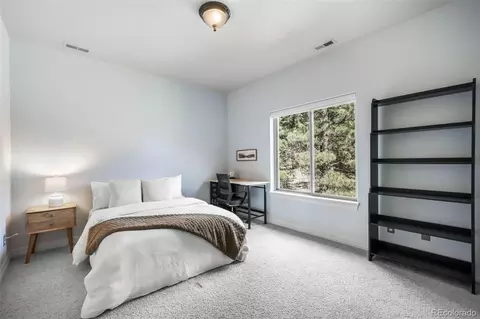 Bedroom - 450 E Stirrup Trl, Monument, CO 80132 photo 6 of 10