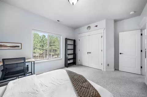 Bedroom - 450 E Stirrup Trl, Monument, CO 80132 photo 4 of 10