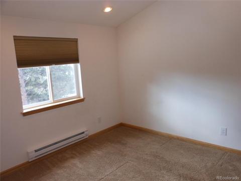200 Bailey Dr, Bailey, CO 80421 photo 19