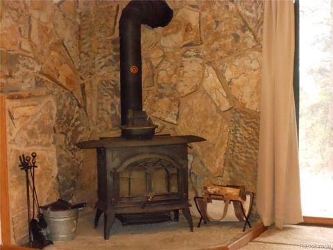 200 Bailey Dr, Bailey, CO 80421 photo 16