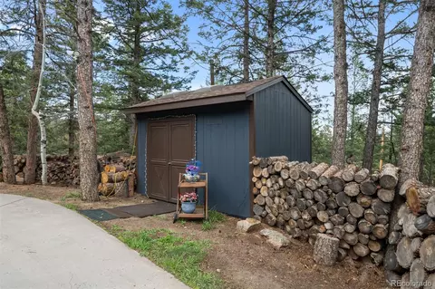 6025 Meadow Dr, Morrison, CO 80465 photo 36