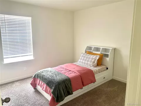 984 Cascade Falls St, Windsor, CO 80550 photo 18