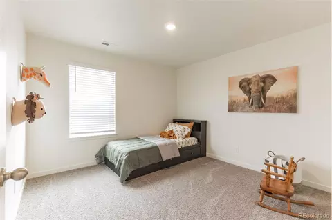 984 Cascade Falls St, Windsor, CO 80550 photo 17