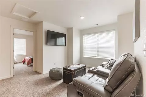 984 Cascade Falls St, Windsor, CO 80550 photo 20