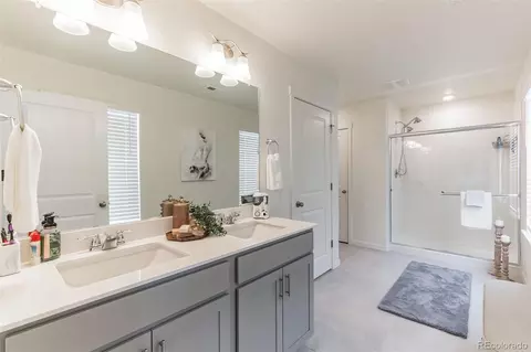 984 Cascade Falls St, Windsor, CO 80550 photo 26