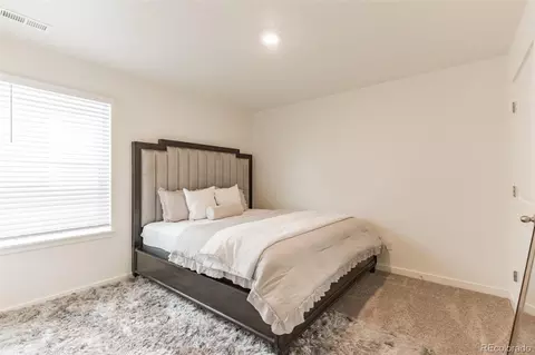 984 Cascade Falls St, Windsor, CO 80550 photo 16
