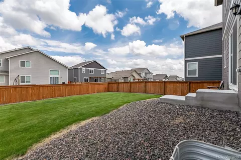 984 Cascade Falls St, Windsor, CO 80550 photo 29