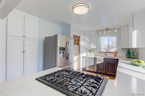 4628 Tejon St, Denver, CO 80211 photo 9