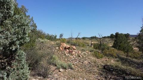 267 Mac Donnell Dr, Cotopaxi, CO 81223 photo 13