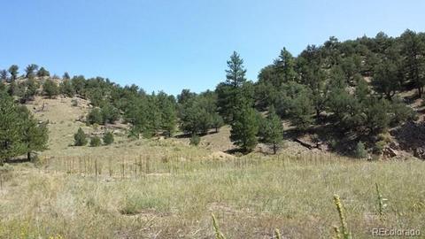 267 Mac Donnell Dr, Cotopaxi, CO 81223 photo 3