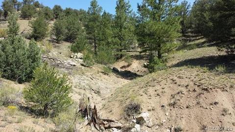 267 Mac Donnell Dr, Cotopaxi, CO 81223 photo 7