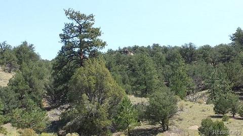 267 Mac Donnell Dr, Cotopaxi, CO 81223 photo 5