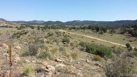 267 Mac Donnell Dr, Cotopaxi, CO 81223 photo 10