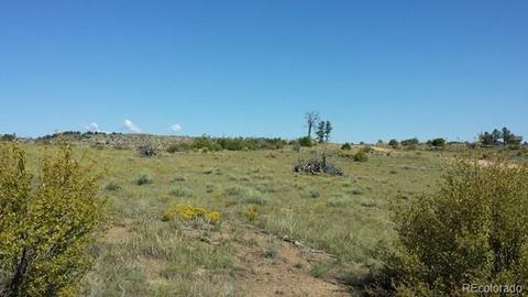 267 Mac Donnell Dr, Cotopaxi, CO 81223 photo 15