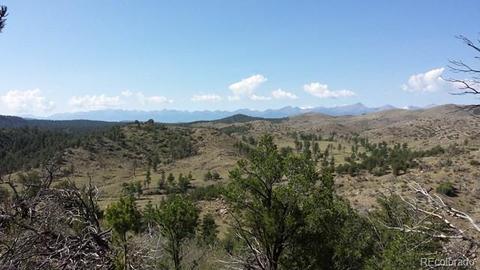267 Mac Donnell Dr, Cotopaxi, CO 81223 photo 12
