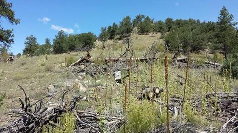267 Mac Donnell Dr, Cotopaxi, CO 81223 photo 6