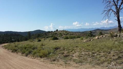 267 Mac Donnell Dr, Cotopaxi, CO 81223 photo 1