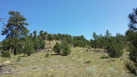 267 Mac Donnell Dr, Cotopaxi, CO 81223 photo 9