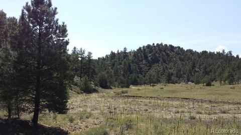 267 Mac Donnell Dr, Cotopaxi, CO 81223 photo 8