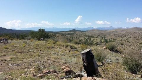 267 Mac Donnell Dr, Cotopaxi, CO 81223 photo 11
