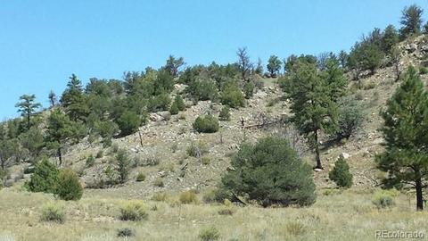 267 Mac Donnell Dr, Cotopaxi, CO 81223 photo 4