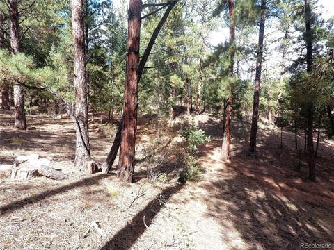16456 Ouray Rd W, Pine, CO 80470 photo 20