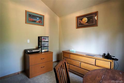 16456 Ouray Rd W, Pine, CO 80470 photo 8