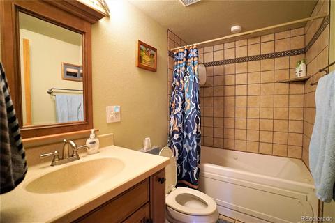 16456 Ouray Rd W, Pine, CO 80470 photo 16