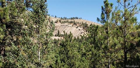16456 Ouray Rd W, Pine, CO 80470 photo 22