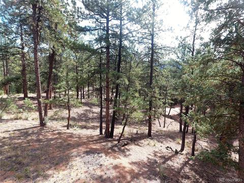 16456 Ouray Rd W, Pine, CO 80470 photo 21