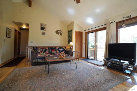 16456 Ouray Rd W, Pine, CO 80470 photo 4