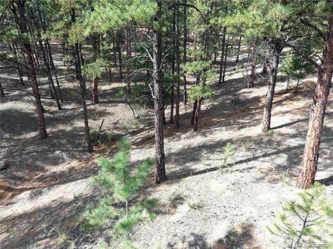 16456 Ouray Rd W, Pine, CO 80470 photo 19