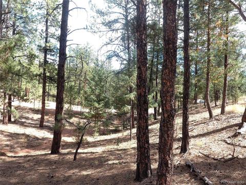 16456 Ouray Rd W, Pine, CO 80470 photo 18