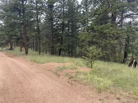 452 Wilson Dr, Florissant, CO 80816
