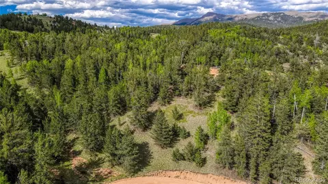 433 Brown Bear Dr, Cripple Creek, CO 80813
