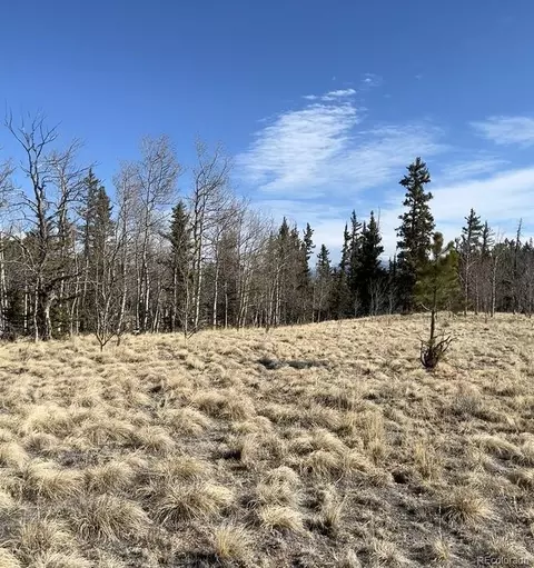 27 Warpath Rd, Como, CO 80432 photo 20