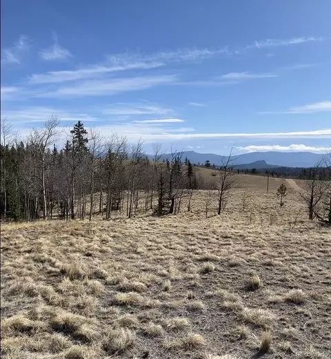 27 Warpath Rd, Como, CO 80432 photo 19
