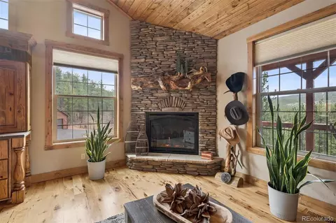 Other - 2894 County Road 43, Bailey, CO 80421 photo 6 of 18