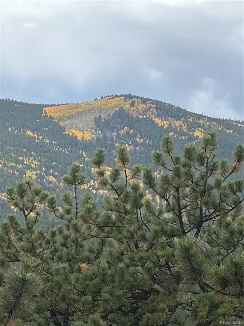 Other - 2894 County Road 43, Bailey, CO 80421 photo 18 of 18