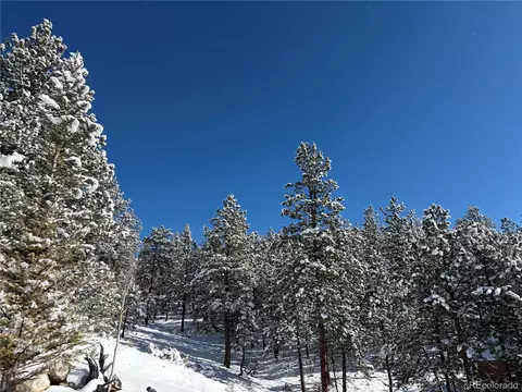 Other - 2894 County Road 43, Bailey, CO 80421 photo 17 of 18