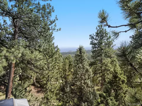View/Area - 479 Doe Cir, Bailey, CO 80421 photo 2 of 2
