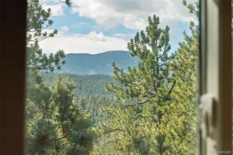 Other - 479 Doe Cir, Bailey, CO 80421 photo 16 of 17
