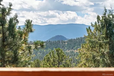 Other - 479 Doe Cir, Bailey, CO 80421 photo 11 of 17
