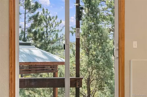 Other - 479 Doe Cir, Bailey, CO 80421 photo 6 of 17