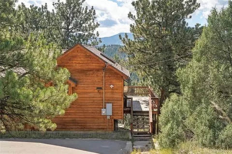 Other - 479 Doe Cir, Bailey, CO 80421 photo 17 of 17