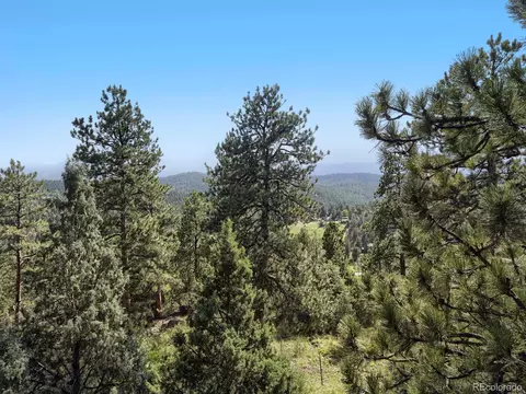 View/Area - 479 Doe Cir, Bailey, CO 80421 photo 1 of 2