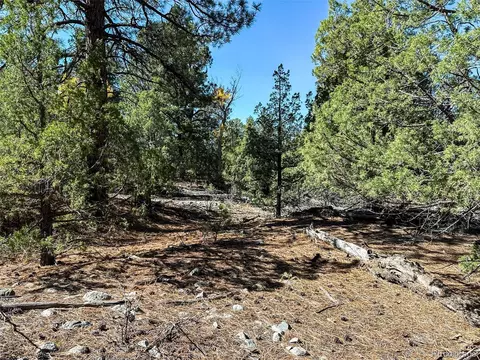 54 56 Big Bear Rd, Mosca, CO 81146 photo 7